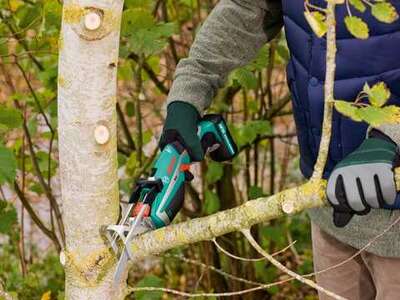 Садова пила