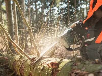 Для ланцюгових пилок