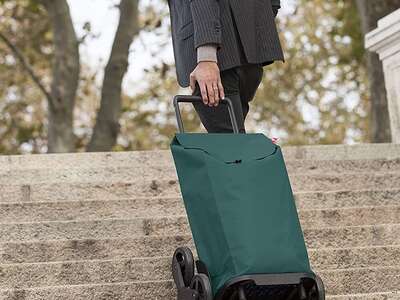 Сумка візок на колесах