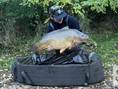 Коропові мати і мішки