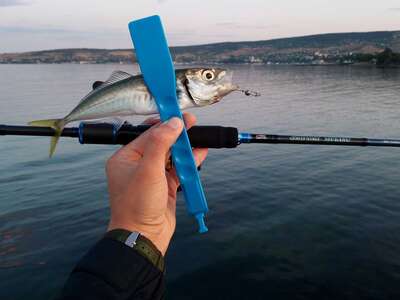 Захоплення