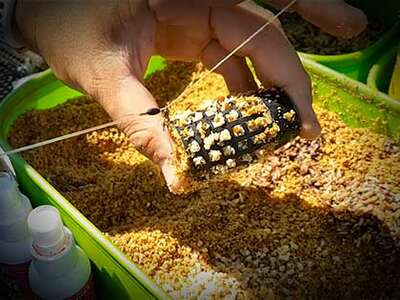 Зернові суміші