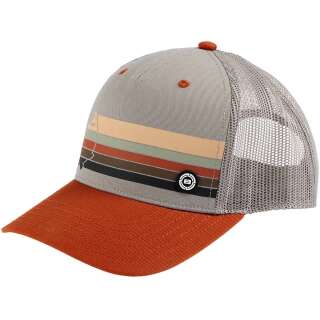 Кепка Brain Rainbow Brown