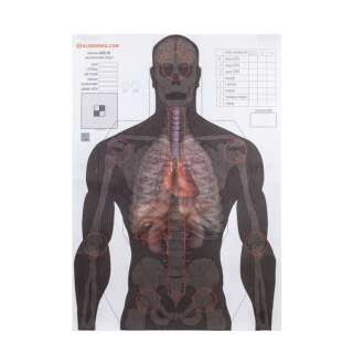 Мішень Алебарда 