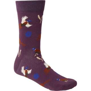 Шкарпетки Chevalier Pomeroy Purple