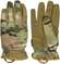 Multicam
