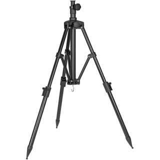 Тринога Brain