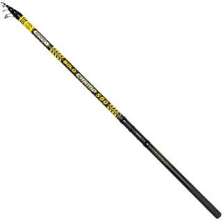 Вудилище болонське Brain Champ Bolo 500