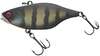 Black King Gill