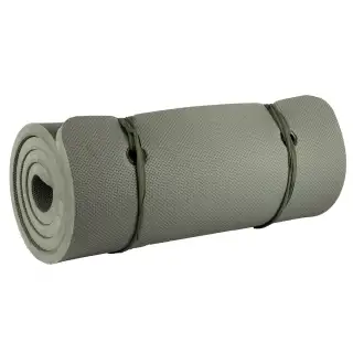 Каремат голландський Olive