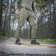 Army Olive