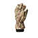 Multicam