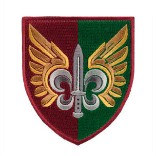 Шеврон 132-й окремий розвідувальний батальйон