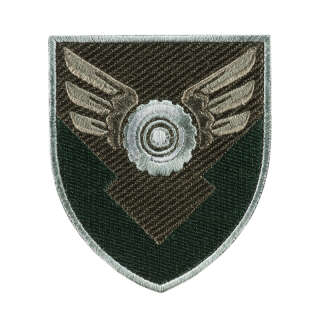 Шеврон 170 окрема база логістики ДШВ олива