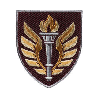 Шеврон 199 навчальний центр ДШВ кольоровий