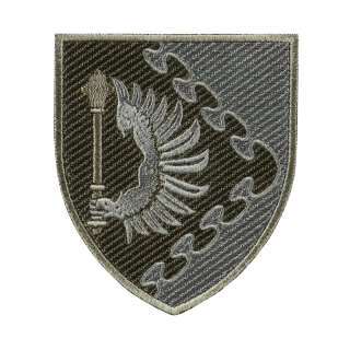 Шеврон Повітряне командування СХІД польовий