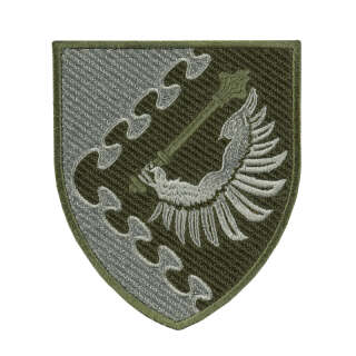 Шеврон Повітряне командування ЗАХІД польовий