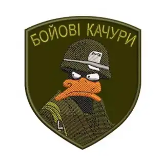 Шеврон вишитий Бойові качури Olive