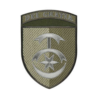 Шеврон+дужка 30 ОМБр Олива