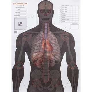 Алебарда мішень анатомічний сілует ALB-50